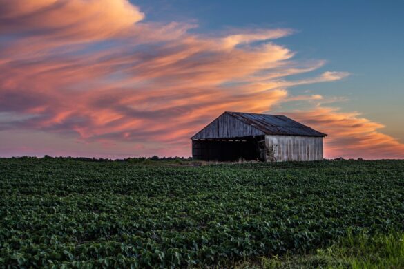 Consider These Factors When Buying Land in Indiana