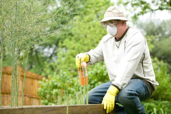 Don't Be a Bug Buffet: Why Hiring Pest Control Experts Makes You a Smarter Homeowner