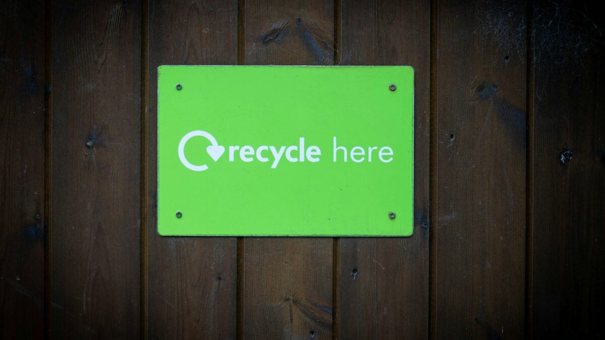 Future-Proofing Your Business: Environmentally Friendly Upgrades for Commercial Projects