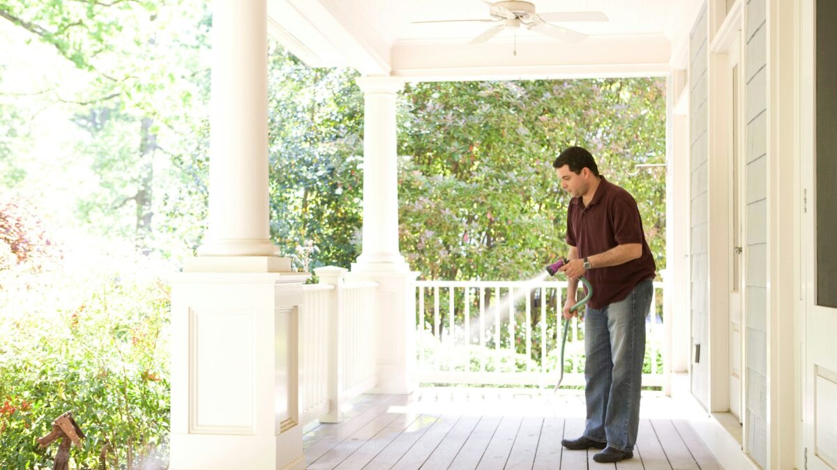 Beyond the Seasons: What Really Drives Year-Round Pest Activity